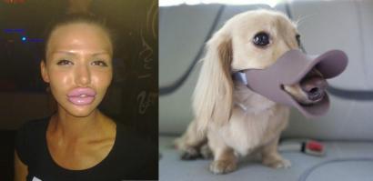 хозяйка собаки