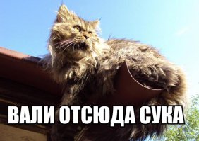 Понаехали тут