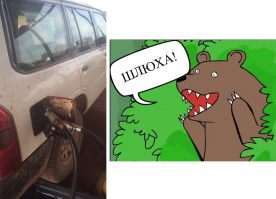 Подборка автоприколов. Часть 203