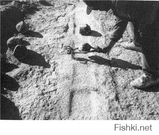 ооо!!! у нас вики стала кладезем познаний :) ню-ню
и что, если в ней что то не описано значит того и нет???
"про что кино не сняли, того и не было" (С) :)))))))))))
а погуглить??? :)))))))

насчёт "в два раза" - был не прав, вспылил, всадил коленом в пылу атаки, с кем не бывает :) ну а в остальном то :) ...
"В ходе раскопок города оказалось, что дома и храмы «засыпаны» землёй. Исследователи считают, что на «засыпку» города потребовалось больше времени и грунта, чем на создание пирамиды Солнца. Какую цель преследовали жители города, засыпая его землёй? Сохранить город для потомков? Предотвратить экологическую катастрофу? Скрыть следы своих экспериментов или знания древних цивилизаций, основавших Теотиуакан?"
источник: 
:)
в подтверждение тому фотки :) :



ну и вид до раскопок :)

к сожалению фотографии тогда не существовало :)

"Много споров вызывает и тот факт, что храмы, дома и другие строения в Теотиуакане были сильно засыпаны землёй, либо это сами жители засыпали свой город, но зачем им это понадобилось, ведь для этого потребовалось бы очень много времени и земли?! "
источник: 
а вот и первая фоточка :) трям:


про бегство от конкистадоров найду - выложу, к сожалению давно изучал всё это и многое уже разтерялось, но сути это не меняет кто от кого убегал :)

та-дааа! :)

про шары - склероз, сорри, на старости лет :) простительно, они - долеритовые были, что тоже на суть особо не влияет :)
И наконец: «На пирамидионе незаконченного обелиска в Асуане хорошо видны следы ударов этих шаров – поверхность этого обелиска разделена на квадраты со стороной примерно 30 см».
источник: Рекс Энгельбах, Сомерс Кларк «Строительство и архитектура в Древнем Египте». :)

и фотки в студии имеются :) 


ага, шарами надолбили :)


вот так это всё и долбили, гыыы: 


а потом землёй присыпали, прятали :)))))


но мастерство с теми шарами шикарнейшее, не то что шляпу, скальп бы снял свой!!! :) 


бугагагага :))))))))

та-дааа!!! :)))

и так, будте добры в студию док-ва удачных экспериментов создания методом тюк-тюк, хотяб метровой квадратной плитки, хоть из туфа, но идеально плоской, но лучше из гранита с идеальной полировкой как вот тут:
 (тогда точно свою шляпу съем)
и отчёт об успешных экскириментах тура хейердала по переносу 30ти тонного истуканчика на 20 км по острову да по пересечённой местности :) и заодно не забудьте приложить фоточку того истуканчика что он там надолбил со своими трудолюбивыми самаритянами в студию плиззз!!! иначе вы собстно хто? правильно - "вы лжец" !!! ещё раз прошу, ну хоть чота акромя вики то прогуглите хотябы :))))))))))))))))))))))))))))))