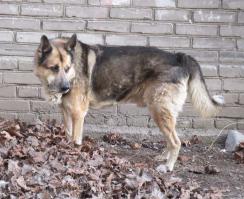 Спасибо. Я постараюсь быть рядом с ним в этот момент.