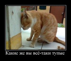 Откуда вы лезете, "братья"?