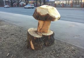 Что можно сделать из дерева?