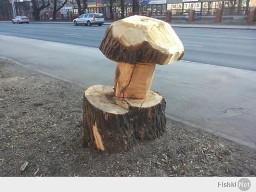 Что можно сделать из дерева?
