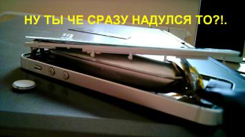 Фишкина солянка за 12.11.2014