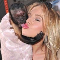 это же п*здец!!! или нет?