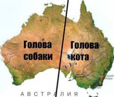 10 необычных фактов об Австралии