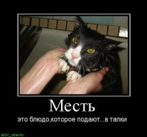 10 дурацких, но забавных товаров для животных