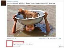Мишка спустя год после Олимпиады