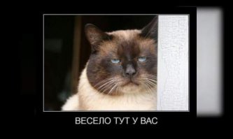 Анекдот