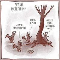 Смешные картинки с подписями 