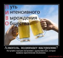 Немного о пиве