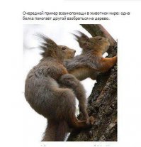 Я думаю, тебе нужна моя помощь!