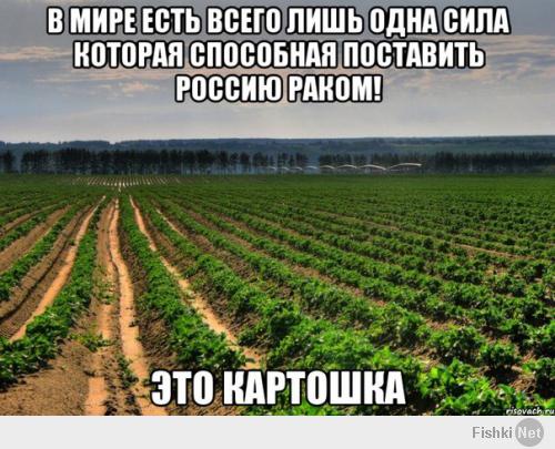Хохма от Яйценюха