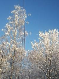 Фотоподборка за 19.11.2014