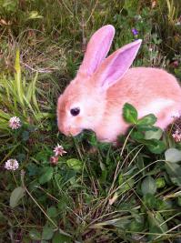 Фотоподборка за 19.11.2014