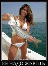 Подборка прикольных фоток