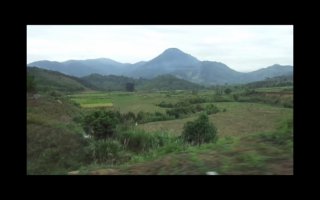 Едте сюда во Вьетнам, ну не Турция конечно и не Европа, но интересного захватывающего с трофеями я вам обещаю, пальмы пляжи, окопы и блиндажи, трофейный танки и вертолеты американцев, легендарная долина реки Меконг... Вьетнамки в аодай, экзотика, и никаких унылых онинклюзив, а джунгли какие, а тысячи гор утопающих по самые макушки в этих джунглях...