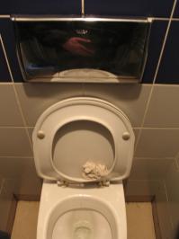 В Макдольдсах в туалетах предусмотрено зеркало для страдающих зеркальной болезнью.