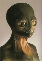 Да, это рептилоиды. Они маскируются под людей.
На самом деле они выглядят примерно так: