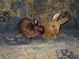 Плюшевая мама