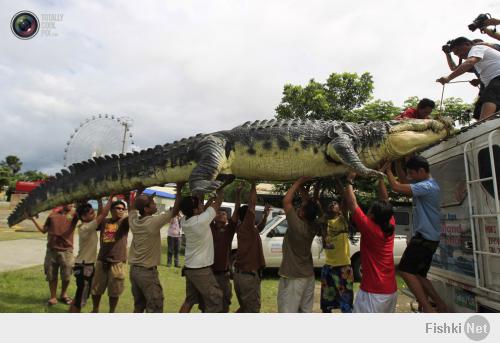 Workers unload 21-foot crocodile robot Longlong from the roof of a van, after it reaches Crocodile Park in Pasay city, metro Manila. ROMEO RANOCO/REUTERS