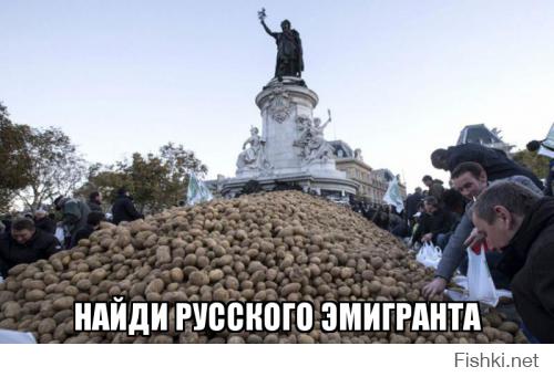 Фермеры выгрузили тонны картофеля на площади Республики в Париже в знак протеста против ухудшающихся рыночных условий, вызванных введением российского продуктового эмбарго.
.
.
