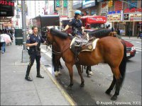 так сказать штрафомобиль ;)
нормальная практика для патрулирования пешеходных парков, туриистско-рекреациооннаых зон.
Автор, сломай шаблоны, там есть и такое: