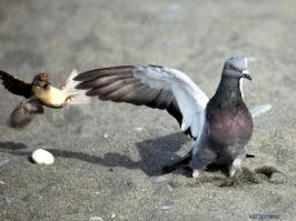 спустя 2 минуты)))