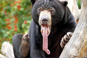 Возвращение с юга