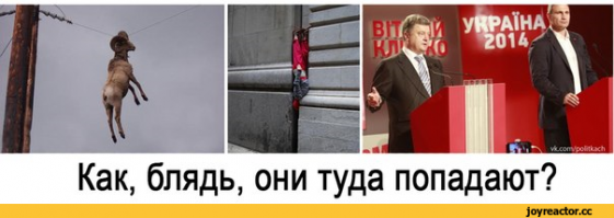 18 снимков, которые противоречат всякой логике