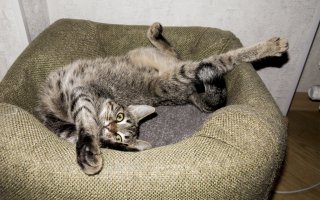 Просто замечательные фотографии