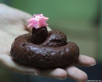 Историй одной "тройки"