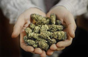 Топ-30 самых креативных визиток