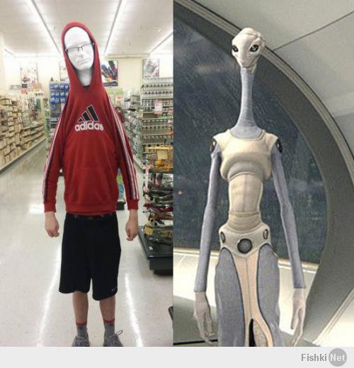 Фишкина солянка за 08.04.2014 