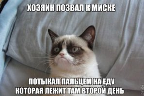 Правильно! Раз за 2 дня не сожрал - значит не голоден. Так что жри, гнида мохнатая, то, что положили!