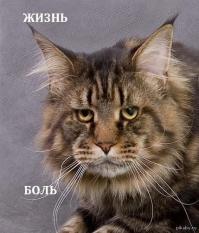 О наболевшем