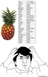 Интересные лингвистические факты