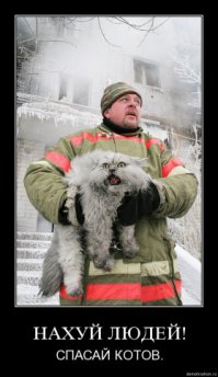 Кошка Маша перебудила весь подъезд, спасая двухмесячного мальчика