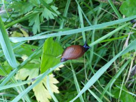 По случаю добавлю и свои фотки. Нравится мне живность всякая.:)