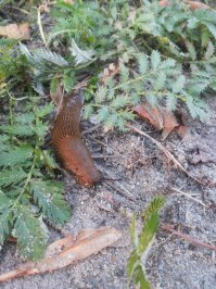 По случаю добавлю и свои фотки. Нравится мне живность всякая.:)