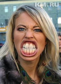 Птицелошади