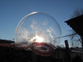 Это я сама лично фоткала. Жаль, мороз был слабый, всего -10.