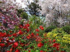 снимал в Японии