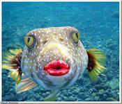 Она пыталась