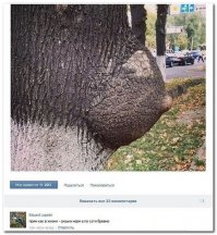 Смешные комментарии из социальных сетей 15.12.14