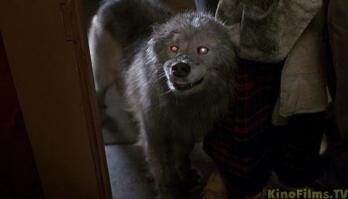 Чего-то фильм вспомнился "Кладбище домашних животных".