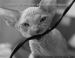 Маленькое счастье