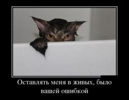 Ужас. Отняли у кота несколько лет жизни. Больше походит на какую-то дезинфекцию.