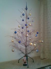 Скорее всего прошлогодняя